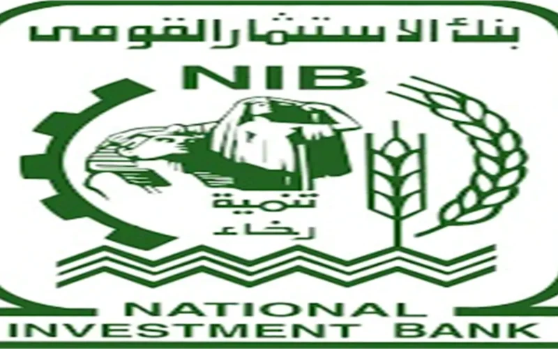 إعلان وظائف.. فرص شاغرة في بنك الاستثمار القومي بالشروط والمستندات